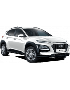 2017 - 2023 Integ. hagusy