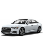 2019 - 2025 Holá strecha