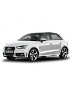 2019 - ... Holá strecha