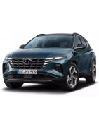 2021 - ... Integ. hagusy