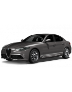 2016 - ... Holá strecha